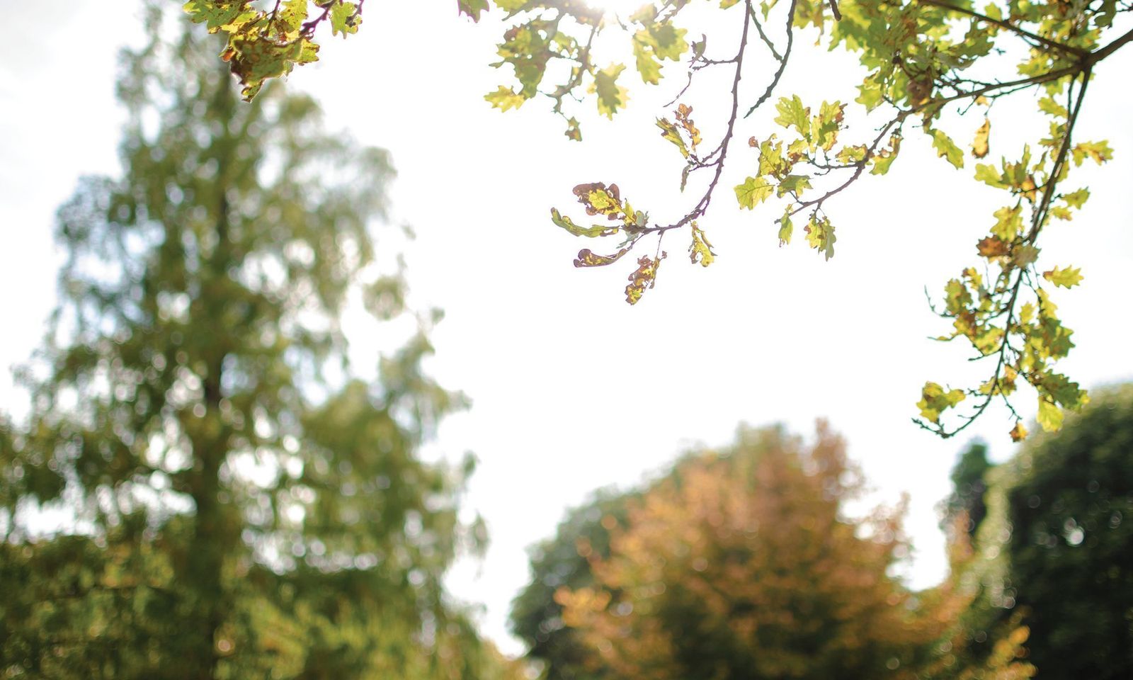 What is the best season for real estate?