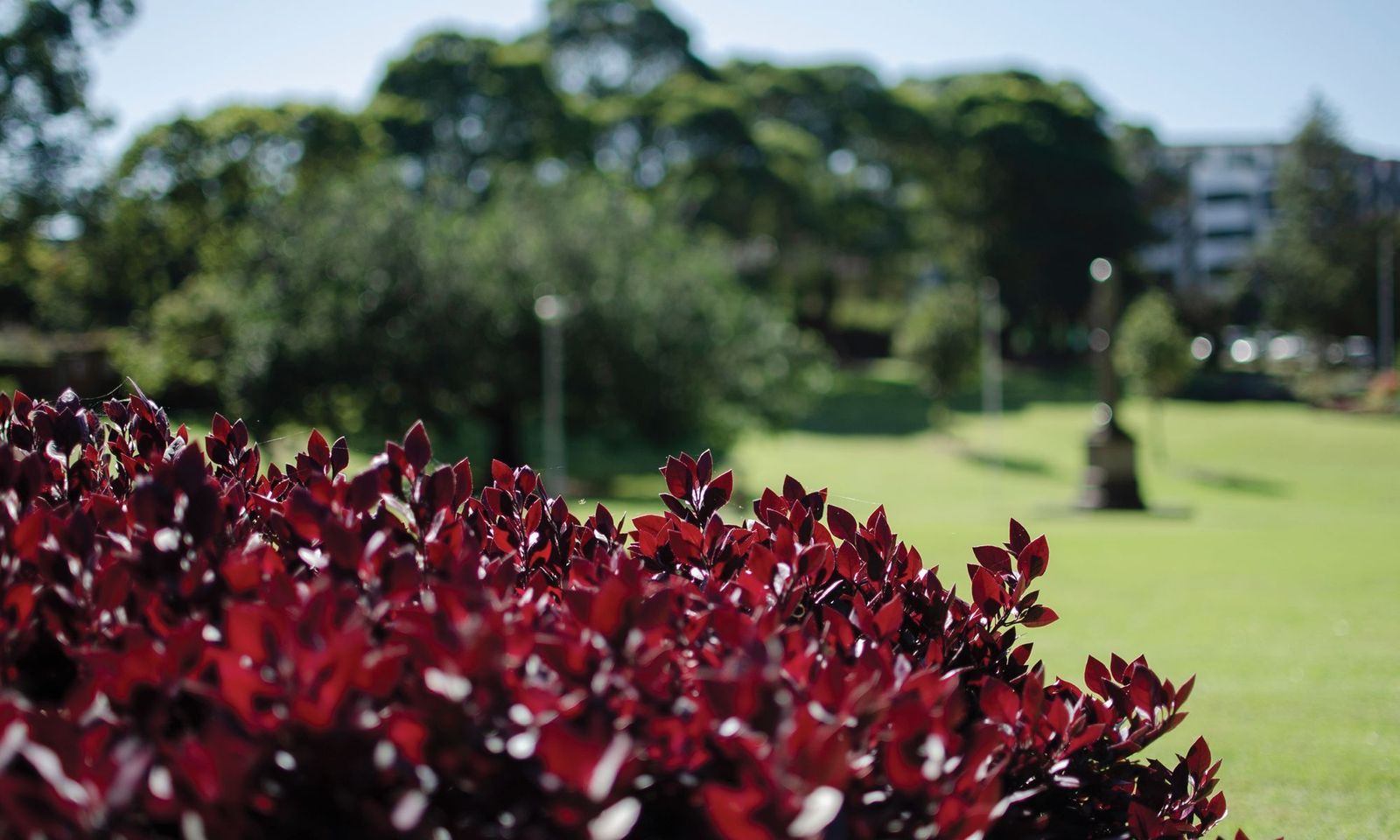 Strata: 10 top tips